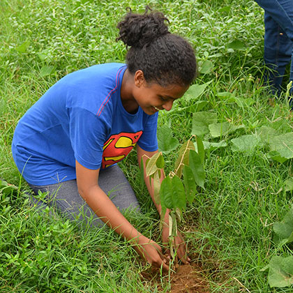Back to Green Project Sri Lanka — community tree planting flora conservation WildREACH Trust