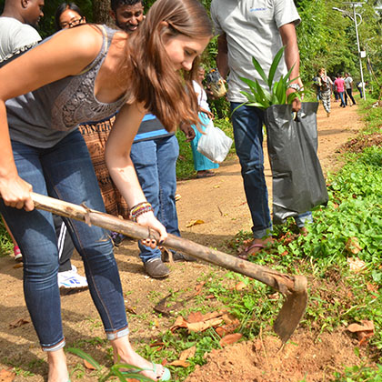 Back to Green Challenge — native plant restoration Sri Lanka