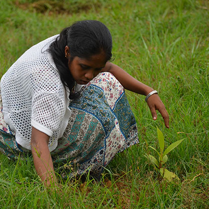 Back to Green flora conservation workshop Sri Lanka 3