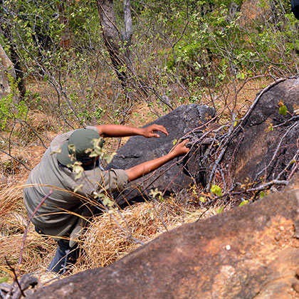 Field conservation activity 11
