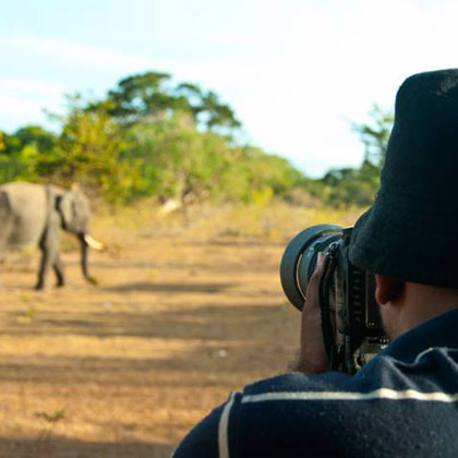 Field conservation activity 12