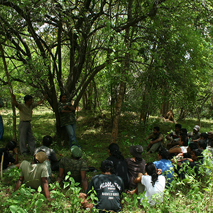 Field conservation activity 15