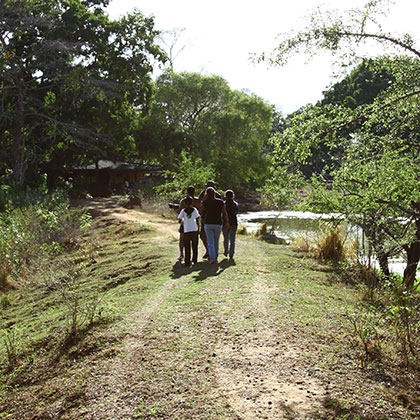 Field conservation activity 9