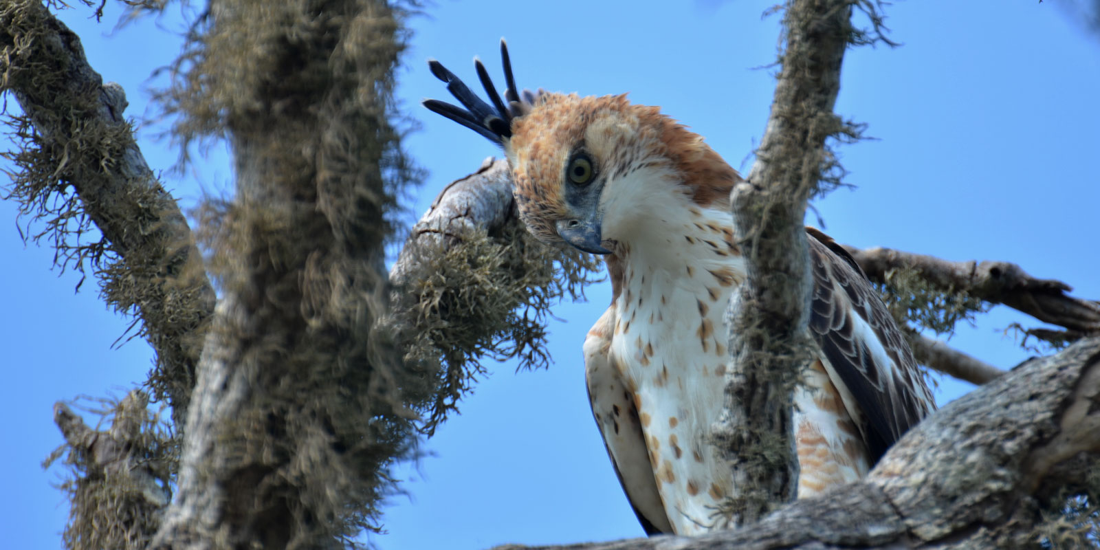 Responsible eco-safari and wildlife tourism Sri Lanka — WildREACH guided nature experiences