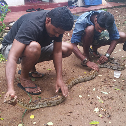 Wildlife rescue 13