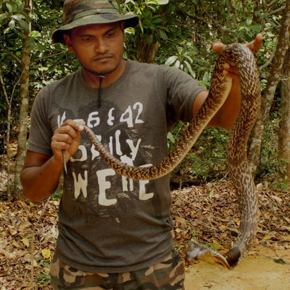 Wildlife rescue 4